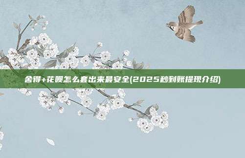 舍得+花呗怎么套出来最安全(2025秒到账提现介绍)