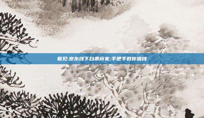 看见:京东线下白条商家;手把手教你借钱