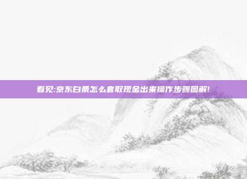 看见:京东白条怎么套取现金出来操作步骤图解!