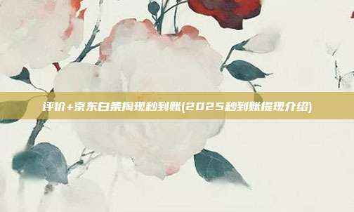 评价+京东白条掏现秒到账(2025秒到账提现介绍)
