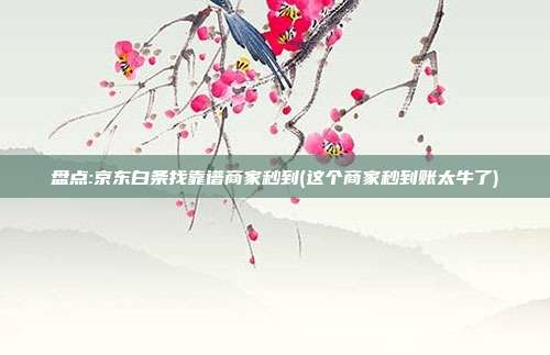盘点:京东白条找靠谱商家秒到(这个商家秒到账太牛了)