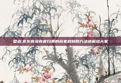 盘点:京东有没有套白条的商家秒到账方法讲解给大家