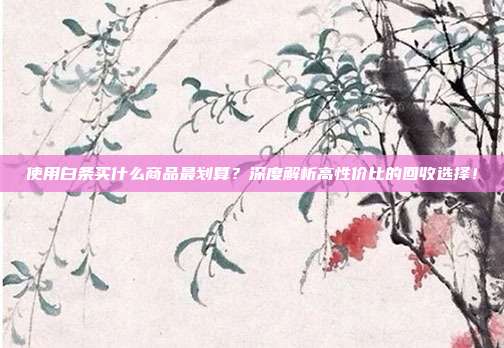 使用白条买什么商品最划算?深度解析高性价比的回收选择!