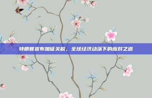 特朗普宣布加征关税,全球经济动荡下的应对之道