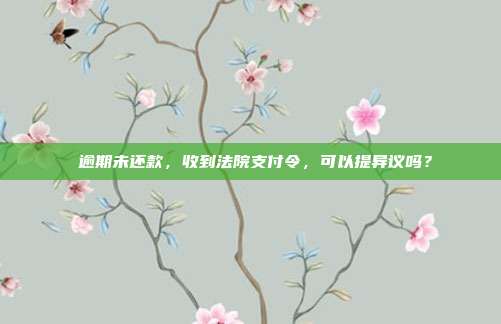 逾期未还款,收到法院支付令,可以提异议吗?