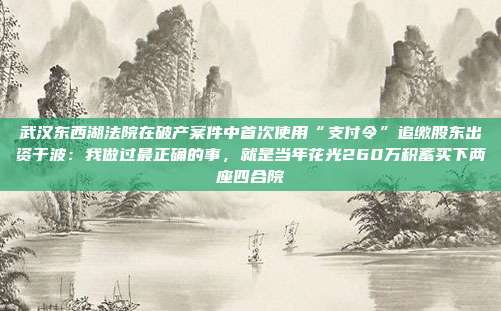武汉东西湖法院在破产案件中首次使用“支付令”追缴股东出资于波:我做过最正确的事,就是当年花光260万积蓄买下两座四合院
