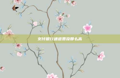 支付银行通道费没那么高