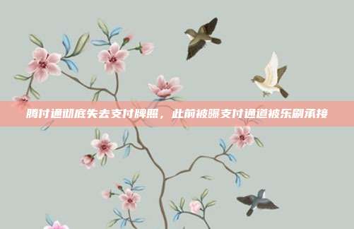 腾付通彻底失去支付牌照,此前被曝支付通道被乐刷承接