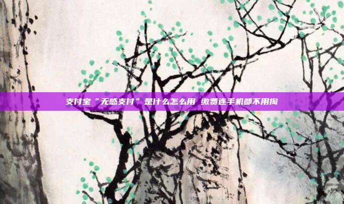 支付宝“无感支付”是什么怎么用 缴费连手机都不用掏