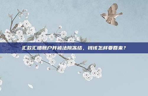 汇款汇错账户并被法院冻结,钱该怎样要回来?