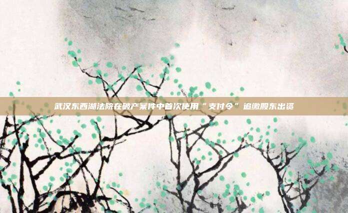 武汉东西湖法院在破产案件中首次使用“支付令”追缴股东出资