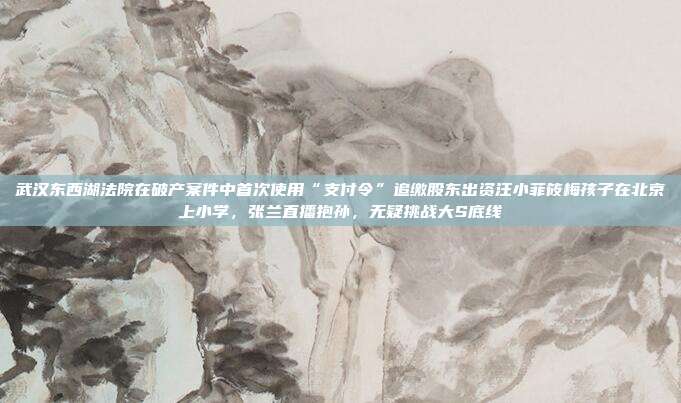 武汉东西湖法院在破产案件中首次使用“支付令”追缴股东出资汪小菲筱梅孩子在北京上小学,张兰直播抱孙,无疑挑战大S底线