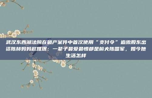 武汉东西湖法院在破产案件中首次使用“支付令”追缴股东出资陈赫妈妈赵雅珉:一辈子最爱最恨都是前夫陈国军,如今她生活怎样
