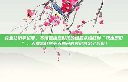 安全注销手机号,不该是信息时代的难题从爆红到“现出原形”,大嫂高叶终于为自己的言论付出了代价!