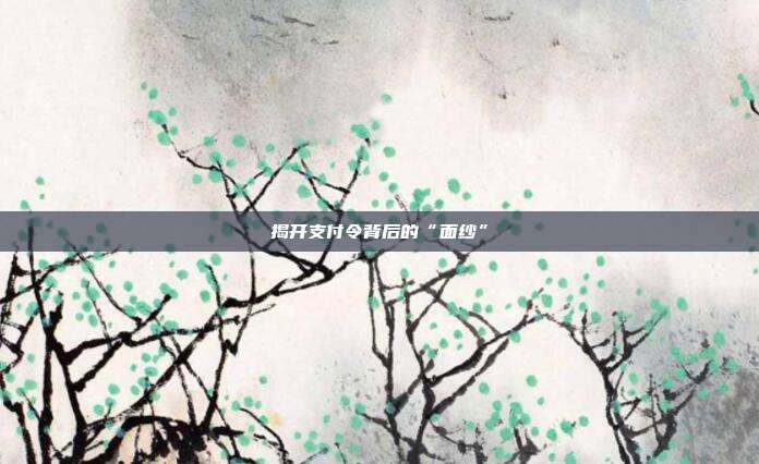 揭开支付令背后的“面纱”