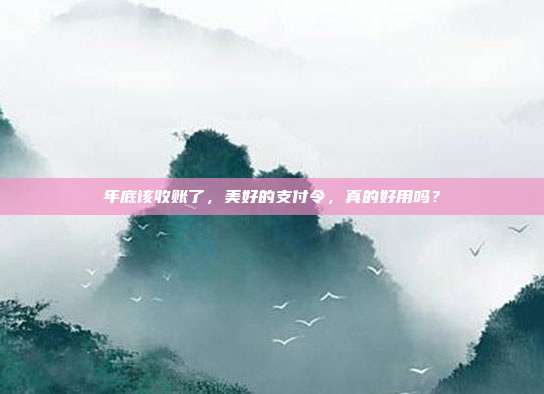 年底该收账了,美好的支付令,真的好用吗?