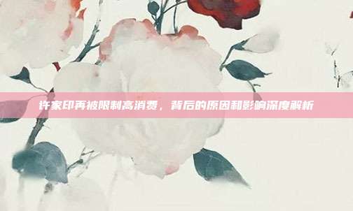 许家印再被限制高消费,背后的原因和影响深度解析