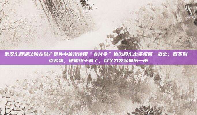 武汉东西湖法院在破产案件中首次使用“支付令”追缴股东出资极简一战史:看不到一点希望,德国终于疯了,尽全力发起最后一击