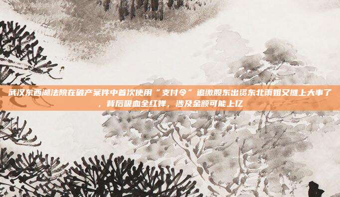 武汉东西湖法院在破产案件中首次使用“支付令”追缴股东出资东北雨姐又摊上大事了,背后吸血全红婵,涉及金额可能上亿