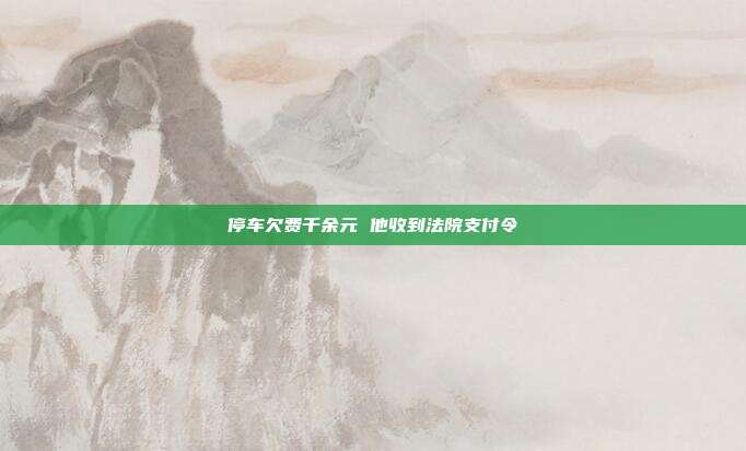 停车欠费千余元 他收到法院支付令