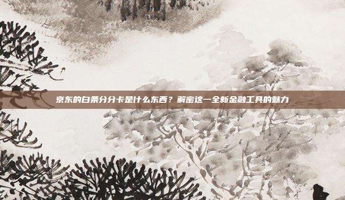 京东的白条分分卡是什么东西?解密这一全新金融工具的魅力